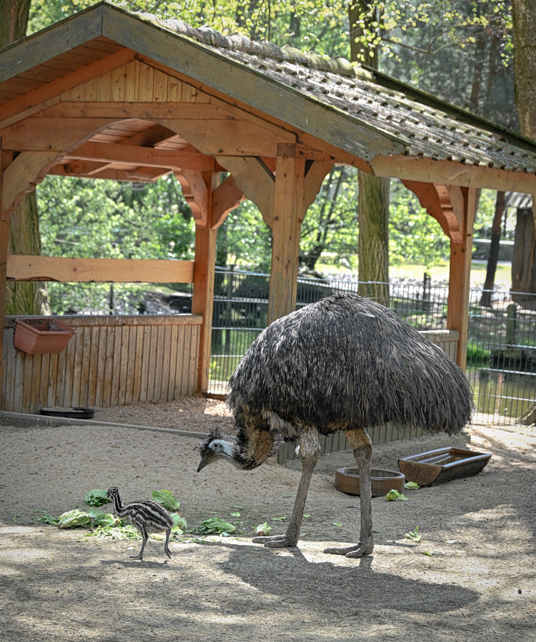 DSC_3325.jpg