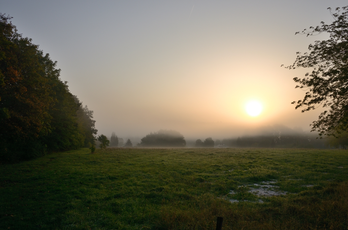 DSC_3326_00001n.jpg