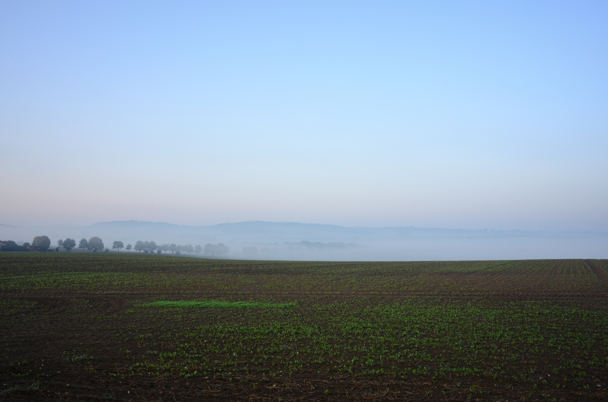 DSC_3327_00001n.jpg