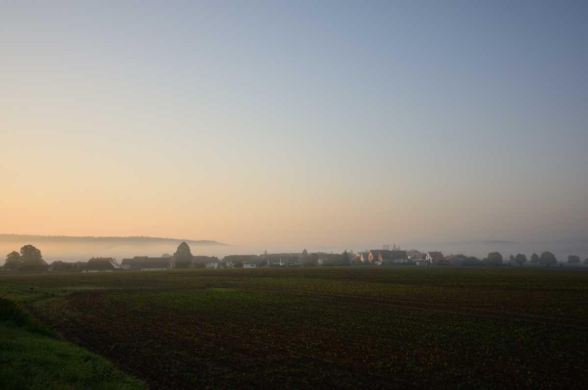 DSC_3333_00001n.jpg