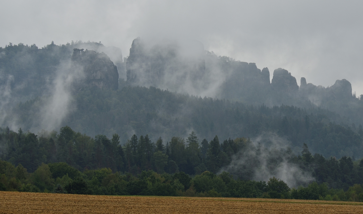 DSC_3335_00001 (2)n.jpg