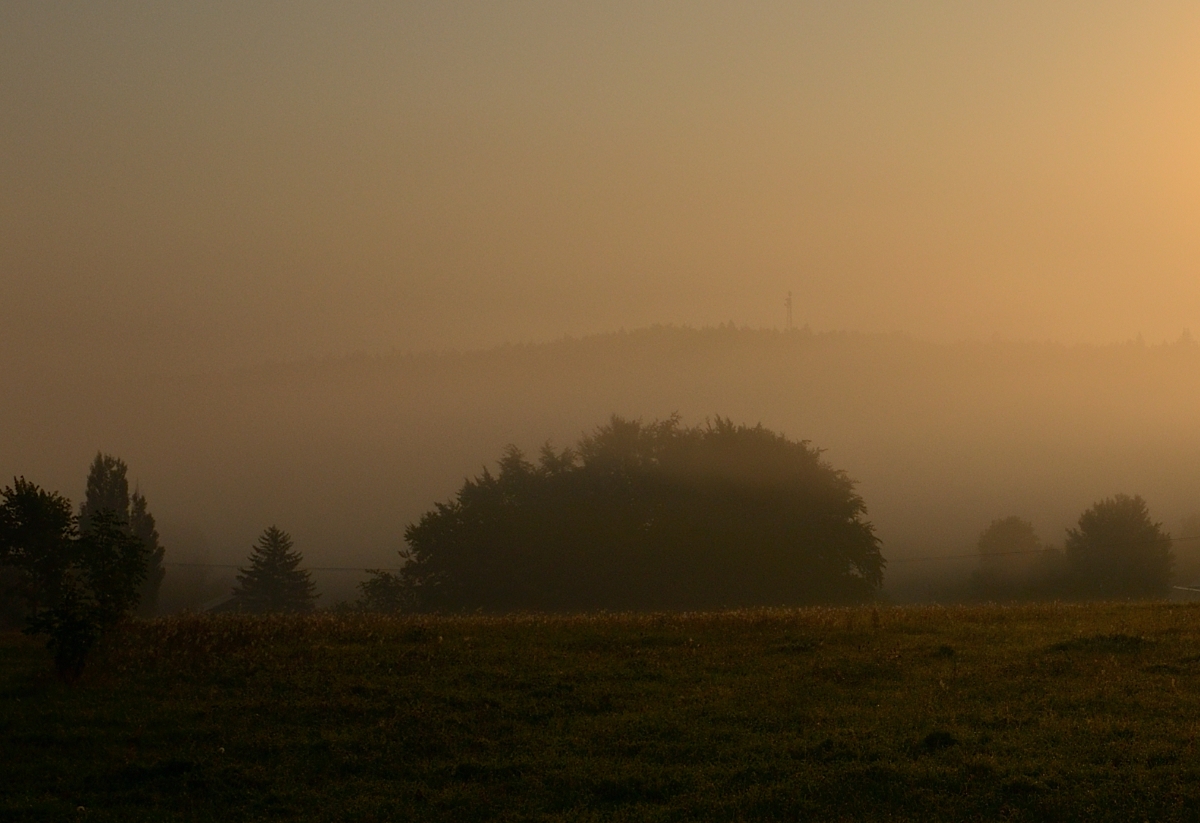 DSC_3335_00001n.jpg