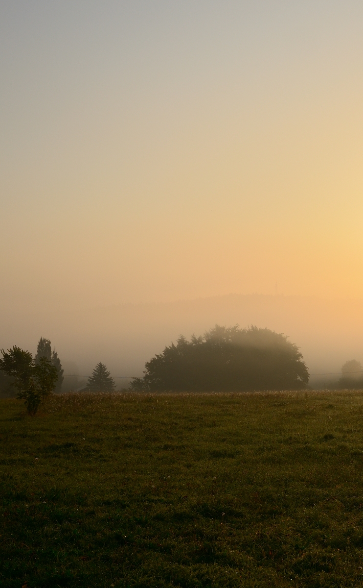 DSC_3336_00001n.jpg