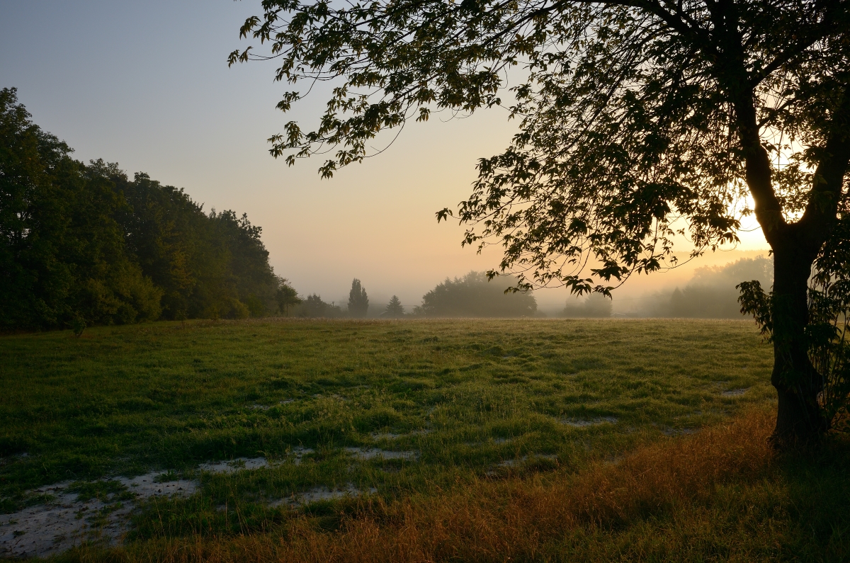 DSC_3337_00001n.jpg