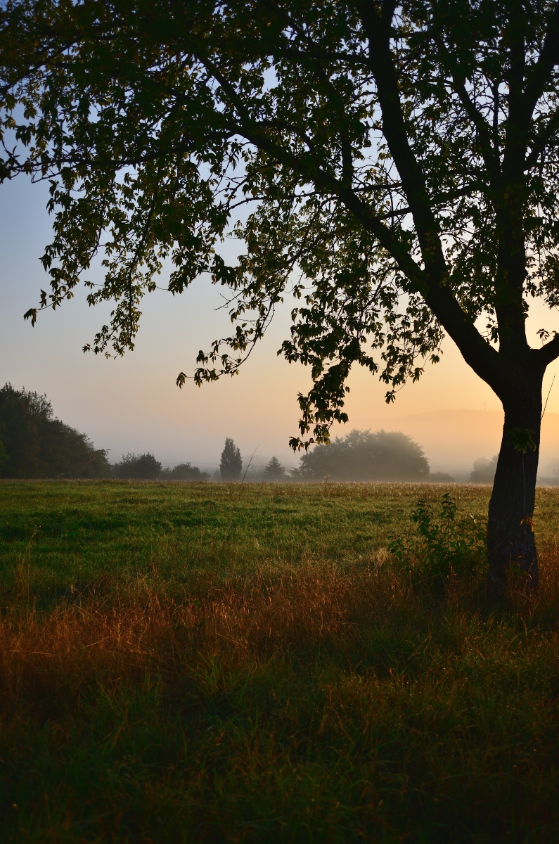 DSC_3339_00001n.jpg
