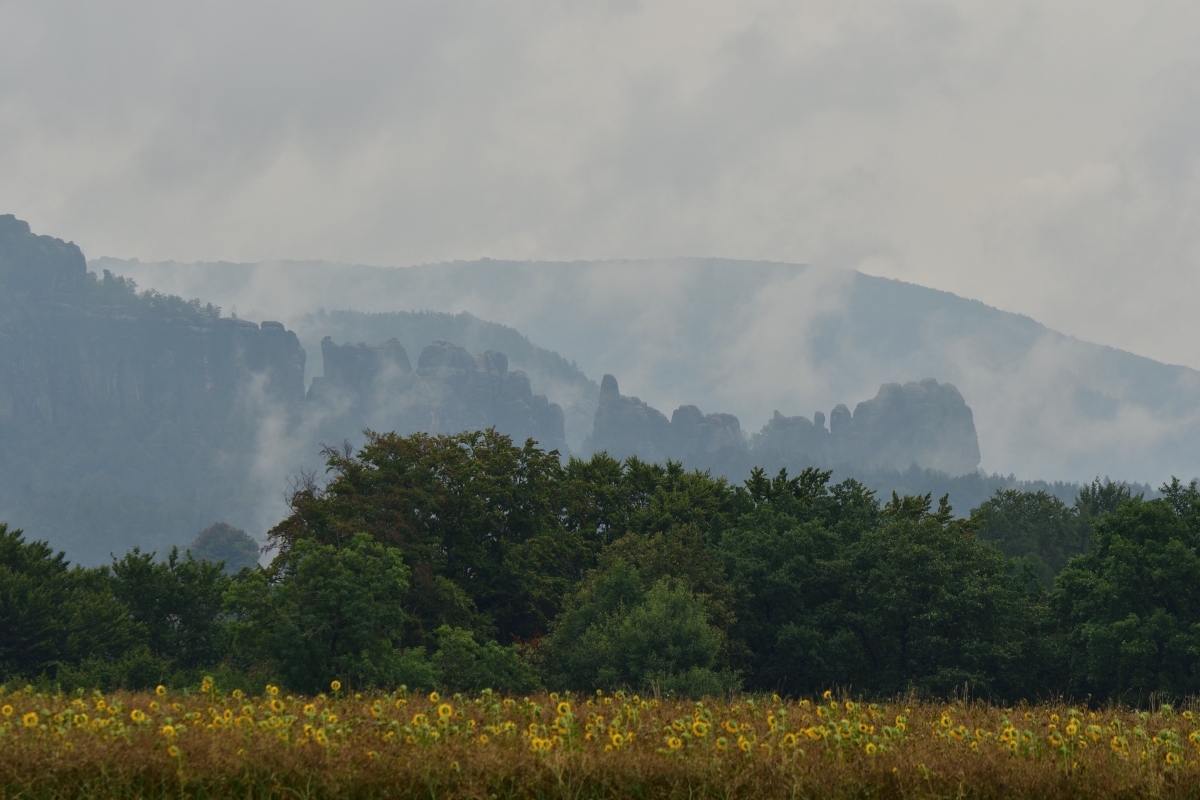 DSC_3356_00001n.jpg