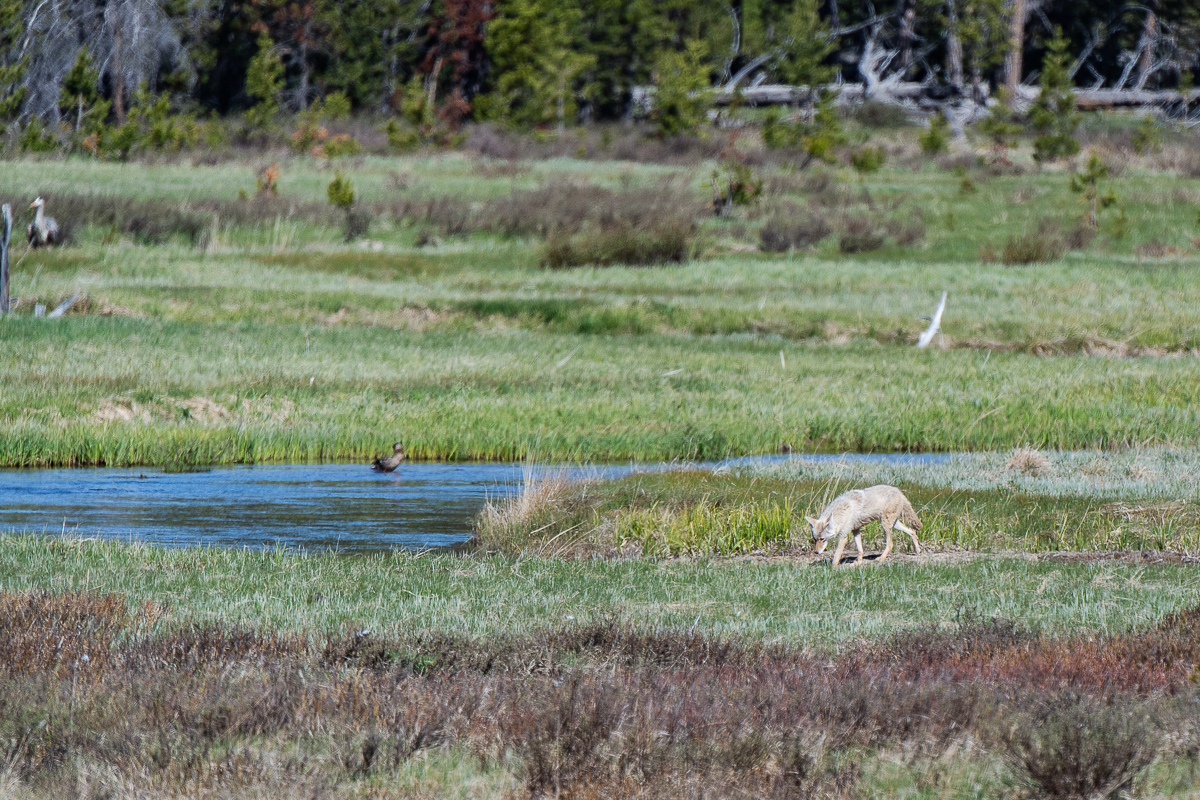 DSC_3367.jpg