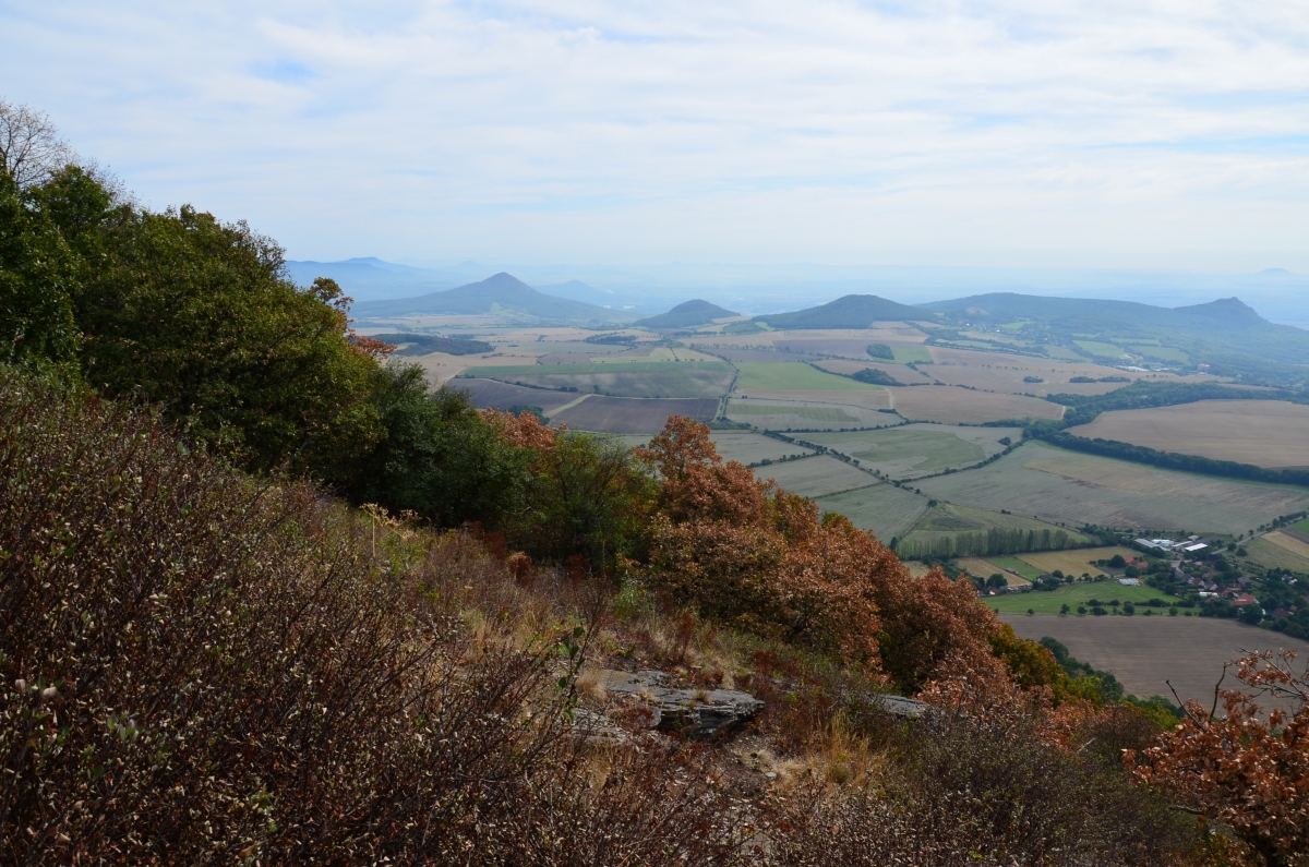 DSC_3389n.JPG
