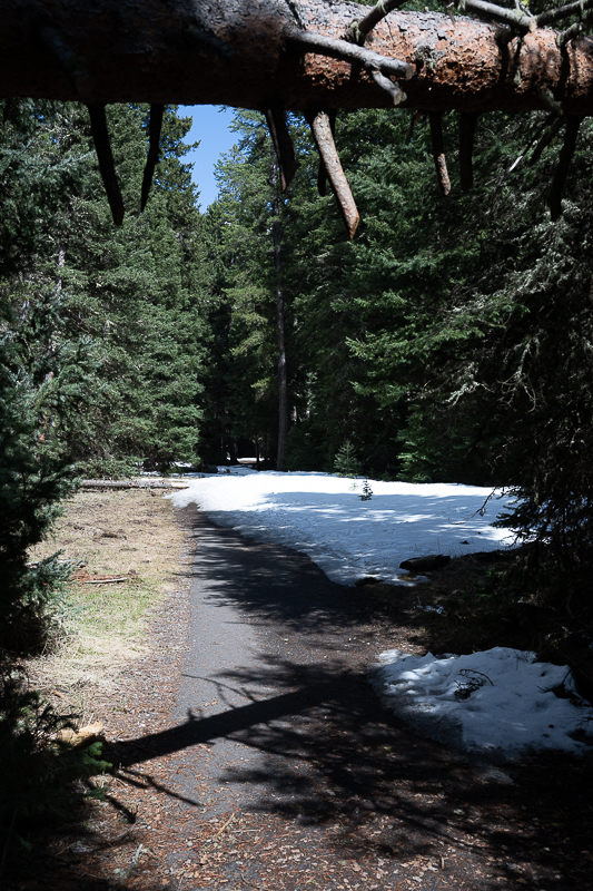 DSC_3401 (2).jpg
