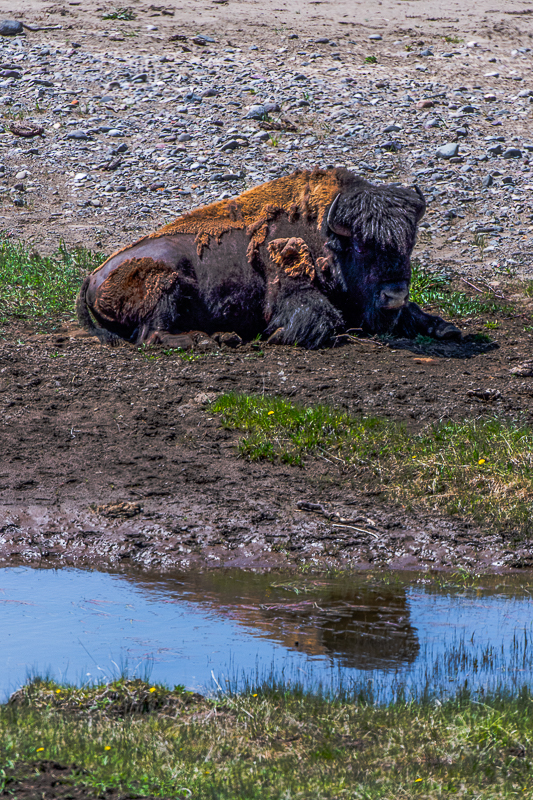 DSC_3406-Bearbeitet.jpg