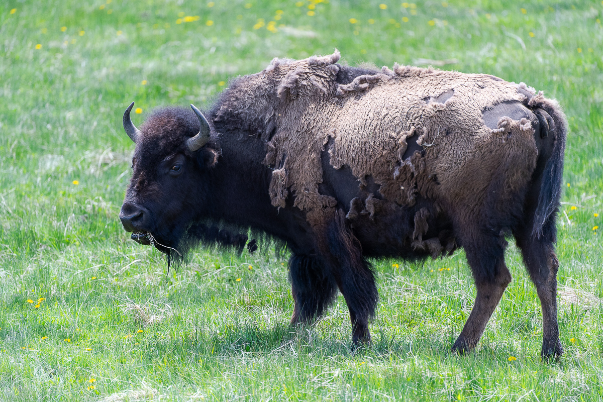 DSC_3435.jpg