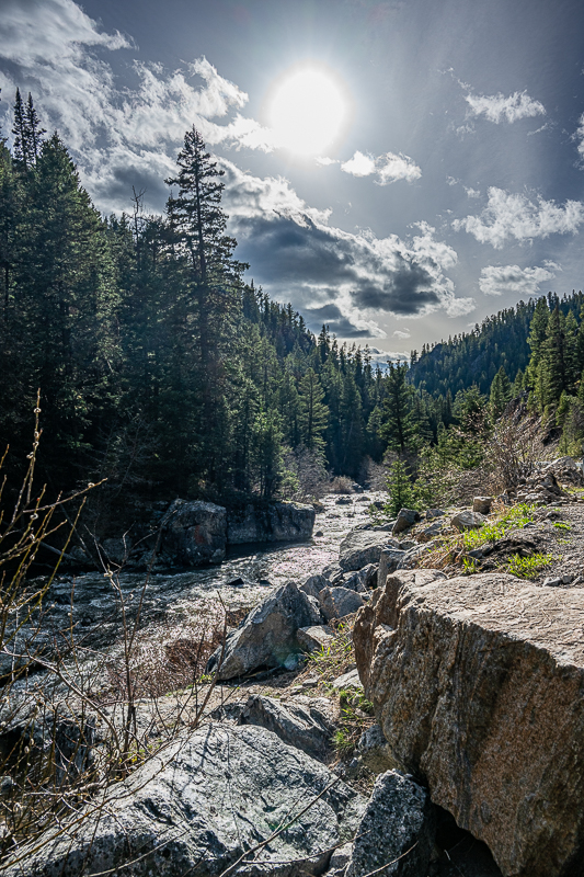 DSC_3436.jpg