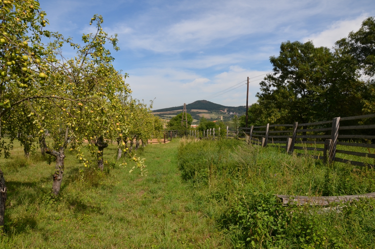DSC_3439n.JPG