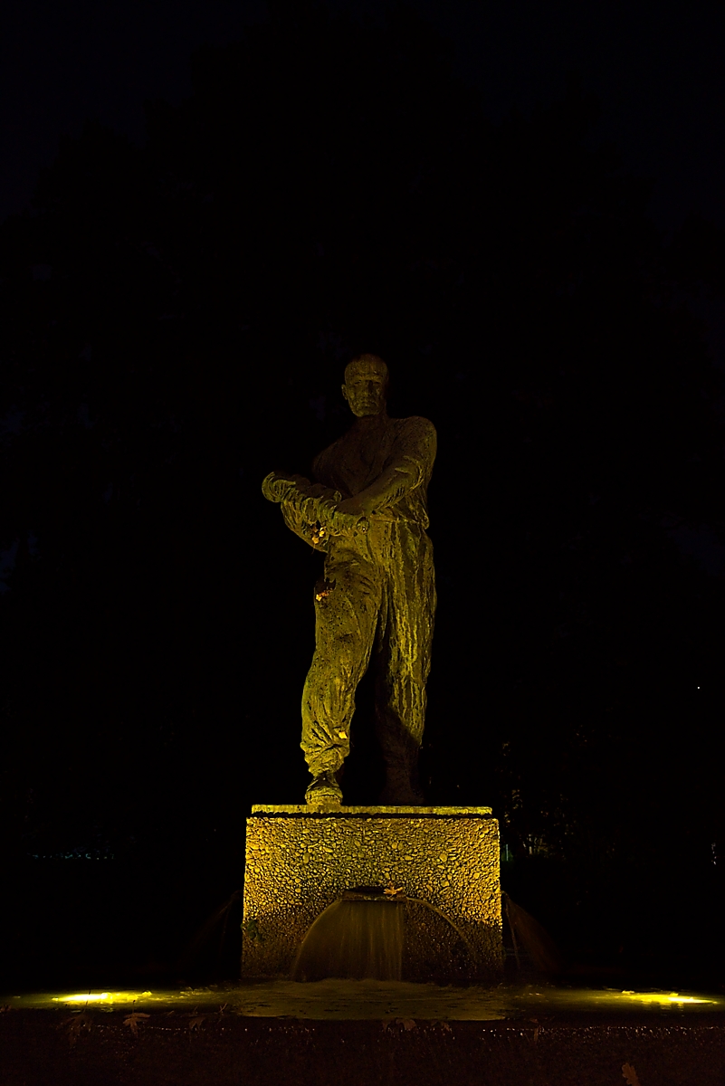 DSC_3440_NIKON Z 5_1200.jpg