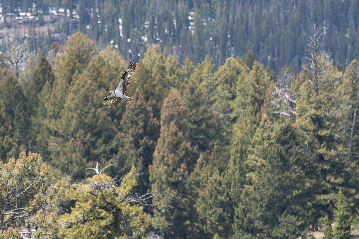DSC_3453 (2)-Verbessert-RR.jpg