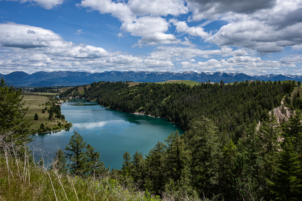 DSC_3458.jpg