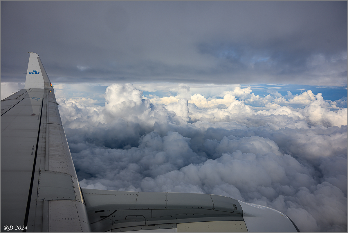 DSC_3470.jpg