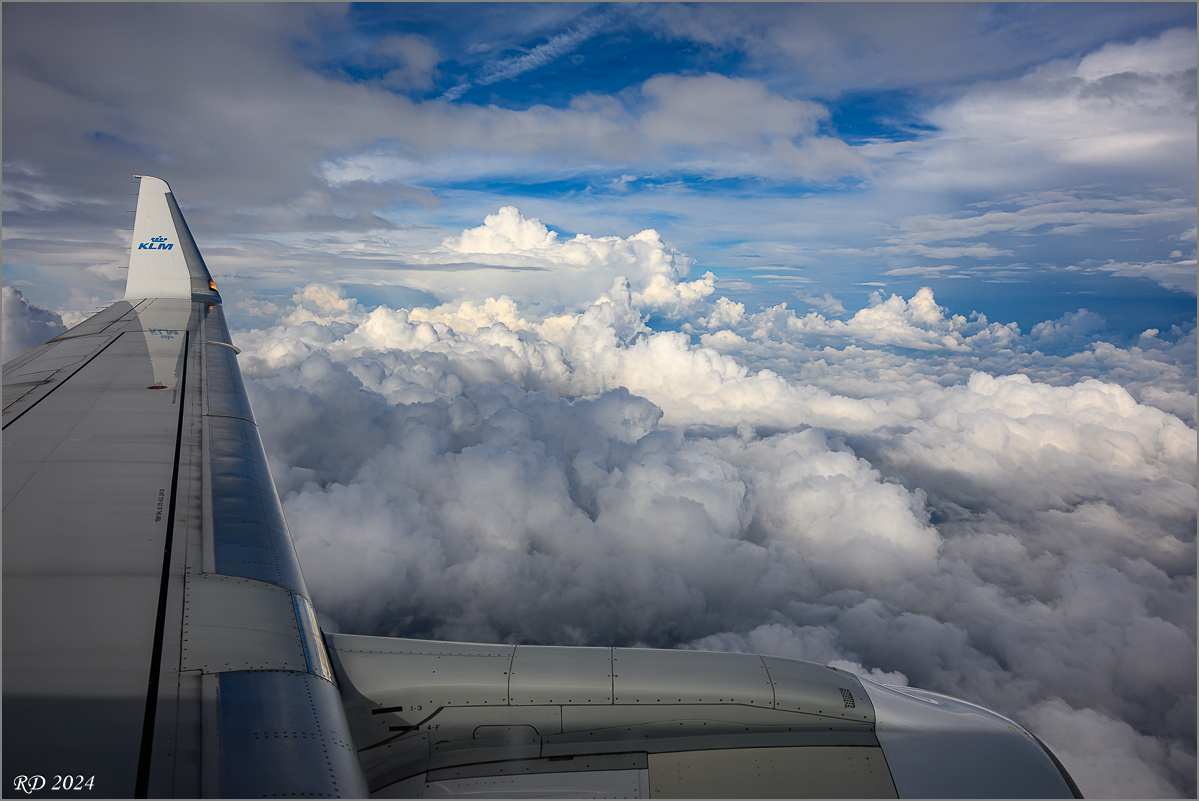DSC_3475.jpg