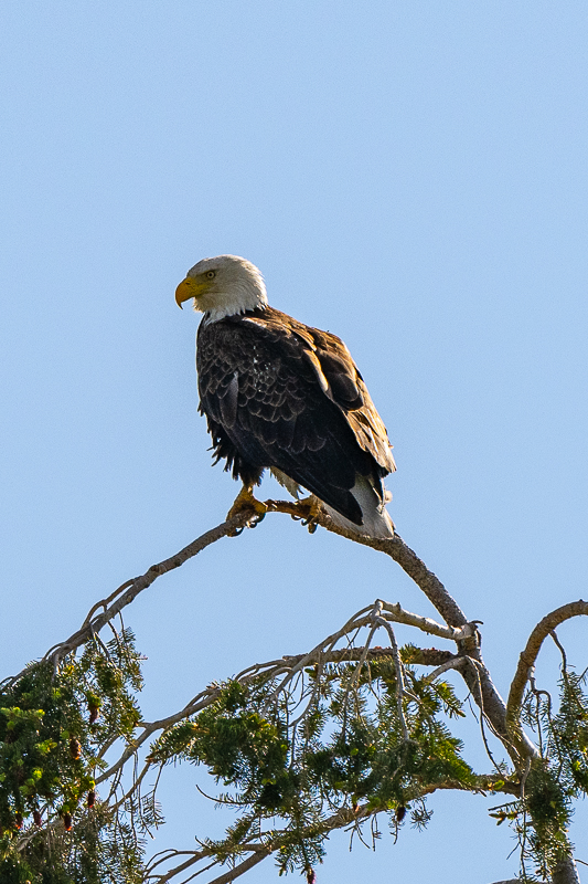 DSC_3482.jpg
