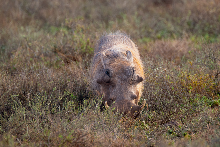 DSC_3484.jpg