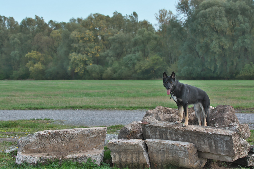 DSC_3515.jpg