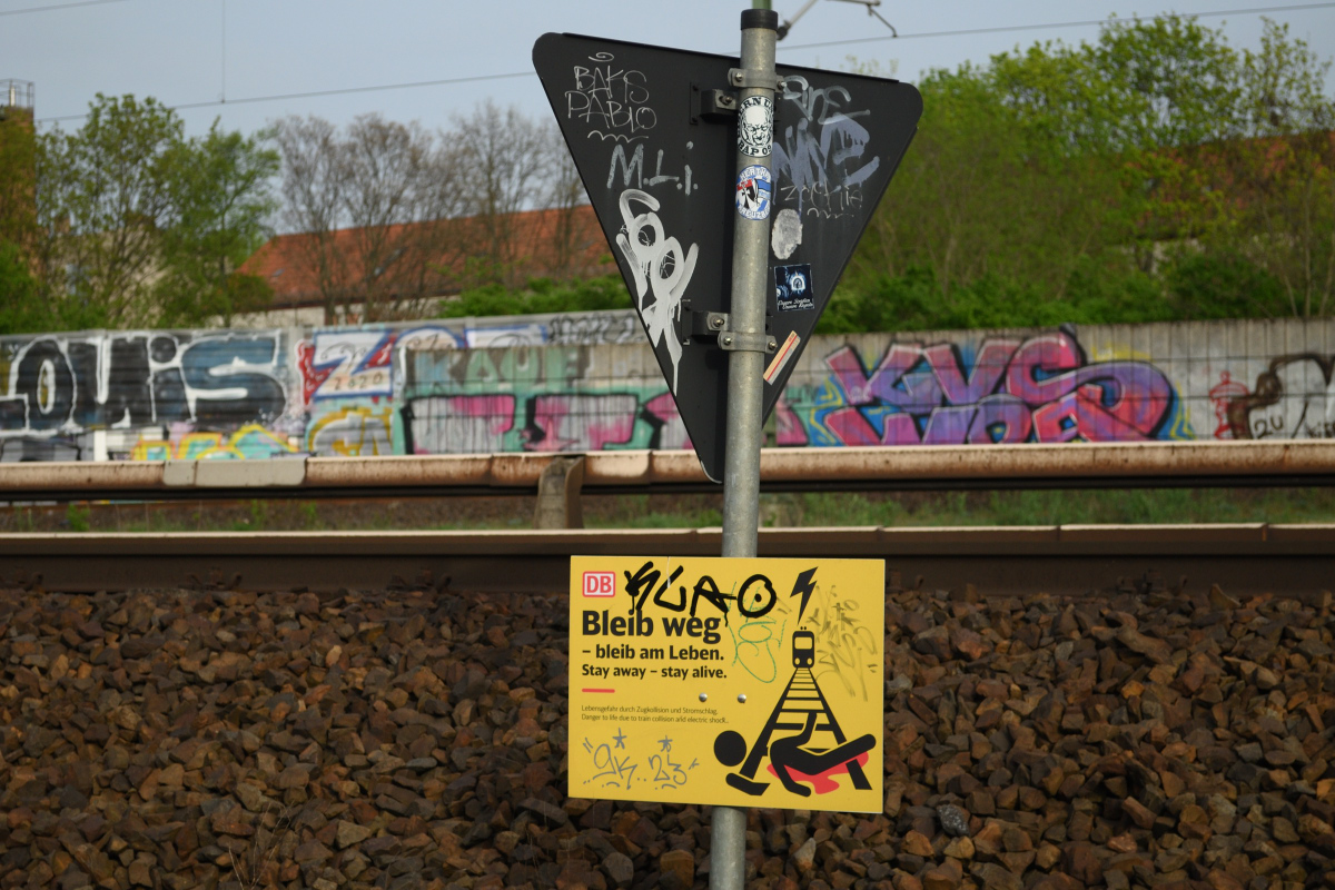 DSC_3533.JPG