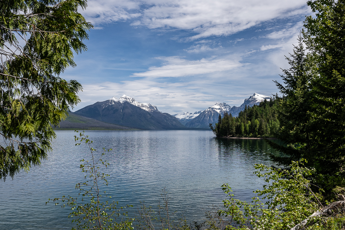 DSC_3537.jpg