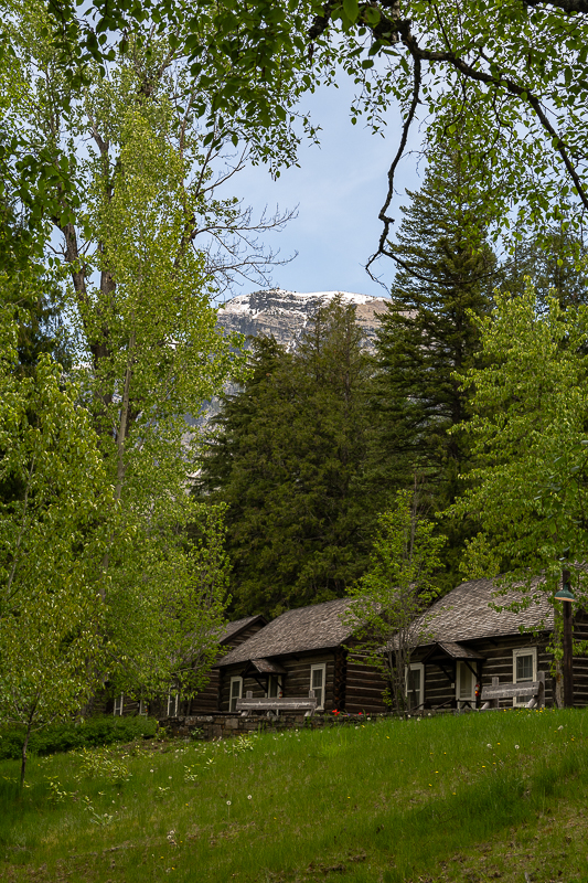 DSC_3541.jpg