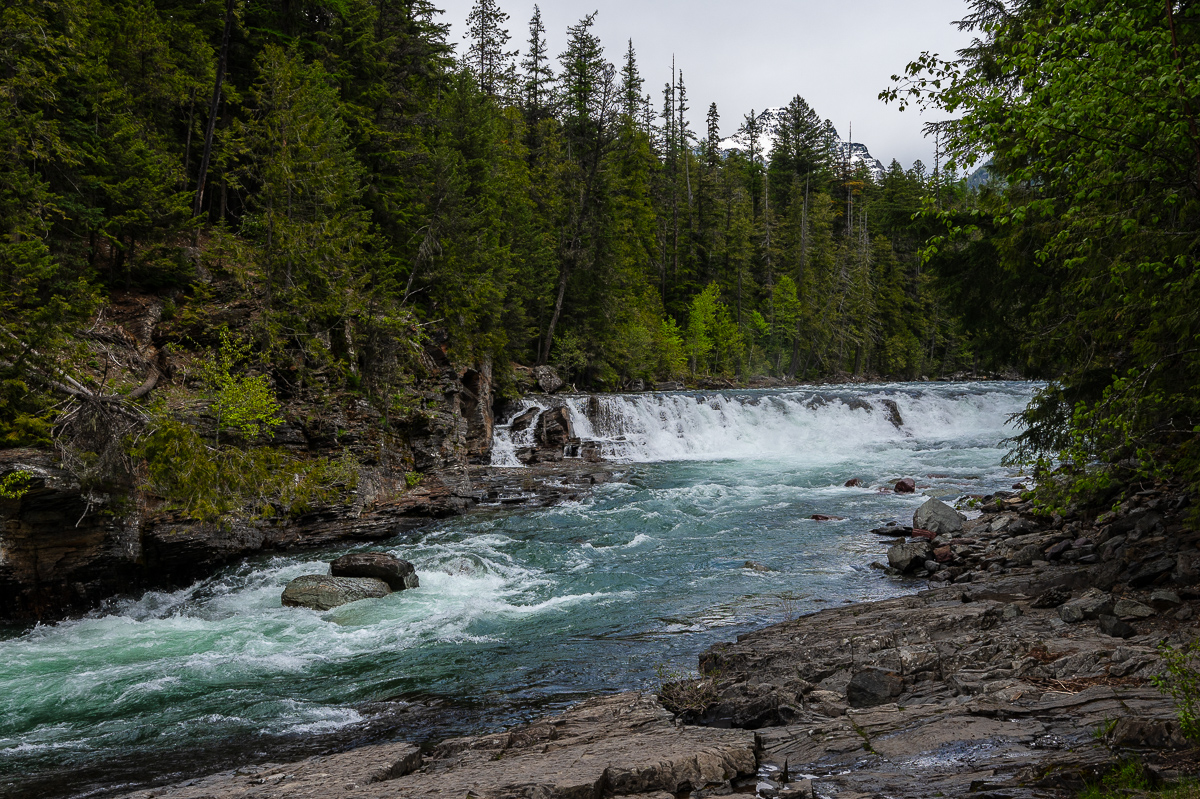 DSC_3546.jpg