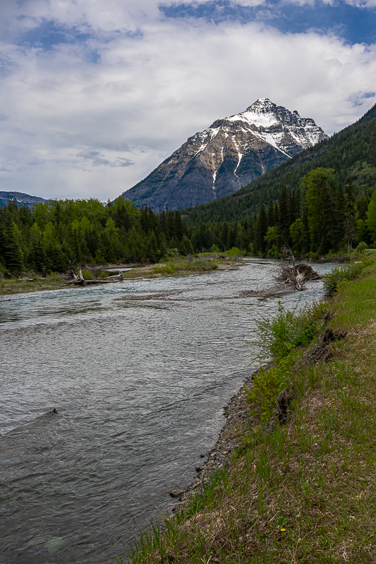 DSC_3557.jpg