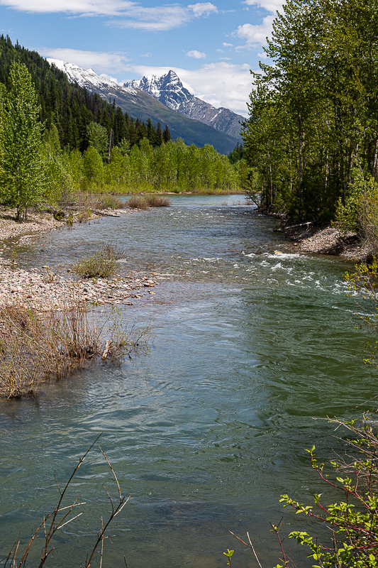 DSC_3572.jpg