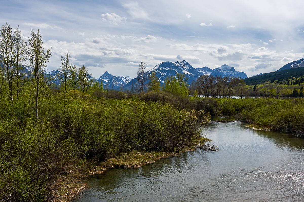 DSC_3584.jpg