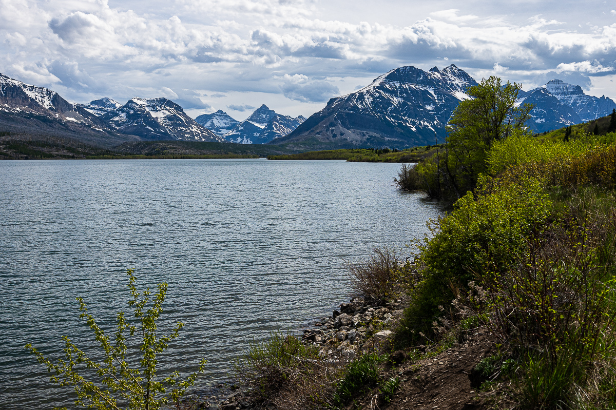DSC_3587.jpg