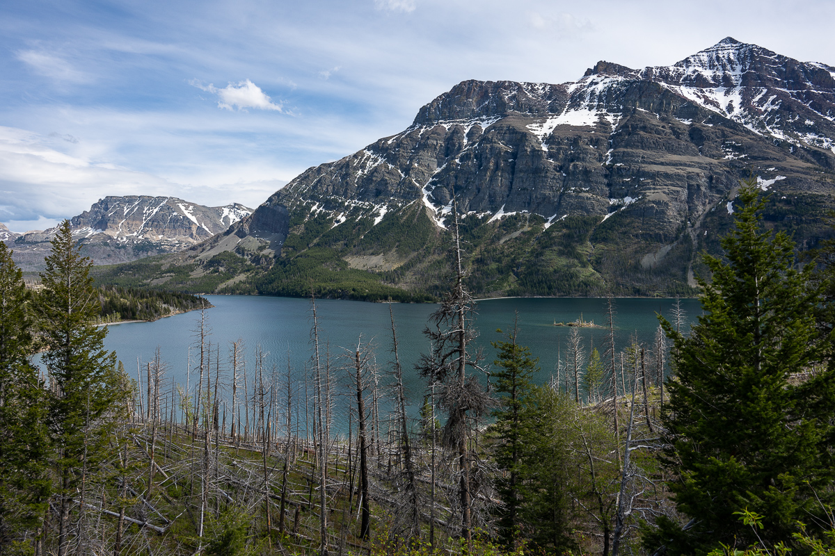 DSC_3597.jpg