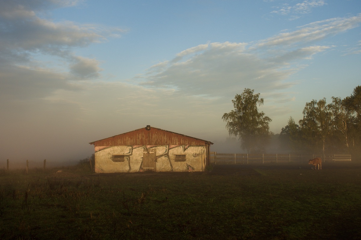DSC_3604.jpeg