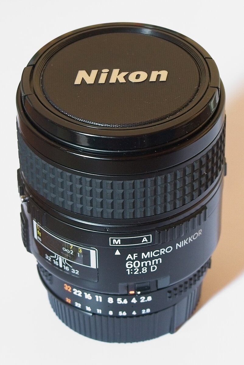 DSC_3613_NIKON Z 5.jpg