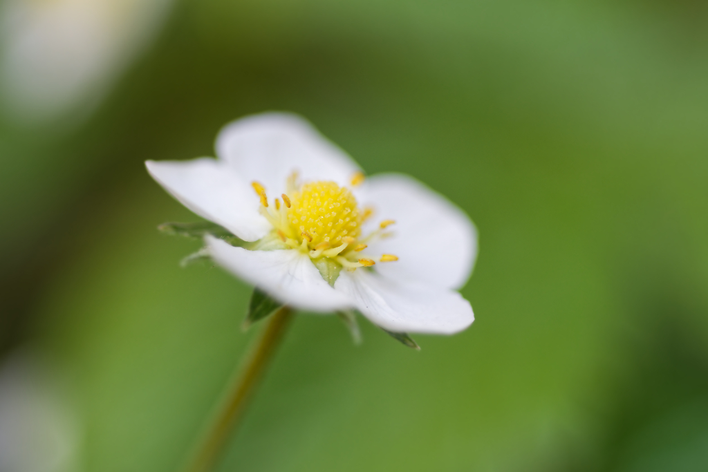 DSC_3616_DxO.jpg
