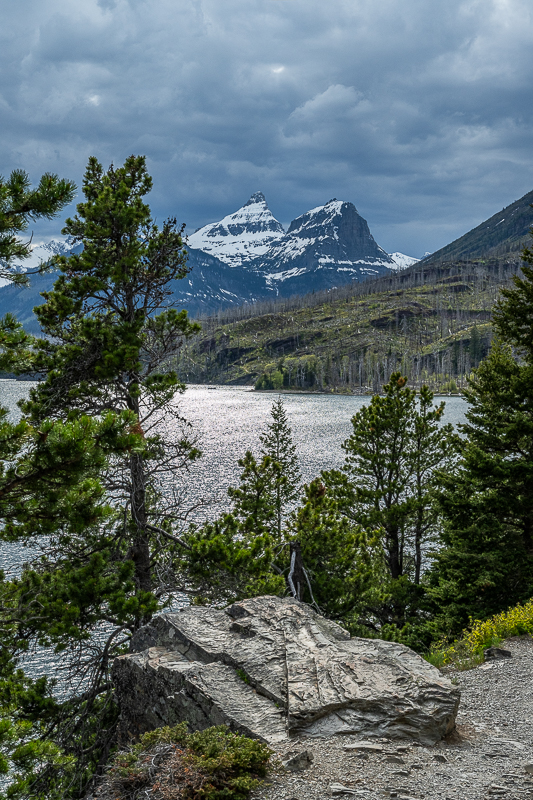 DSC_3623.jpg