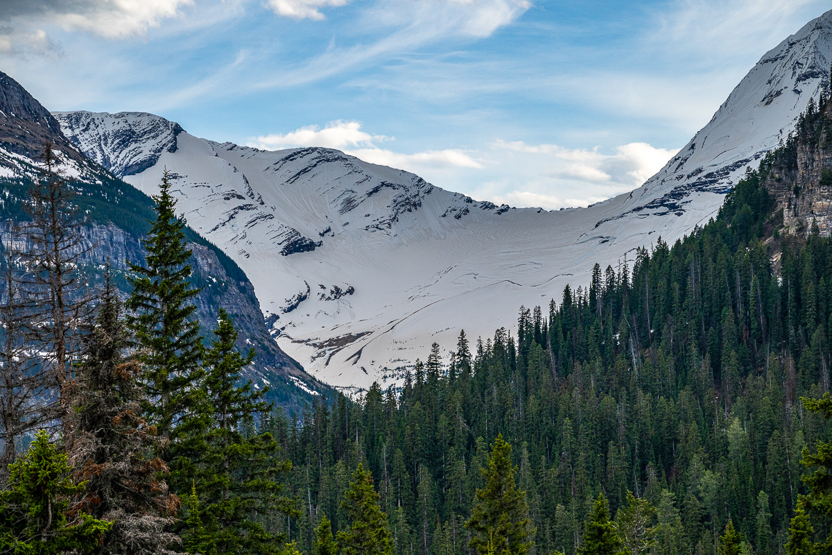 DSC_3626.jpg