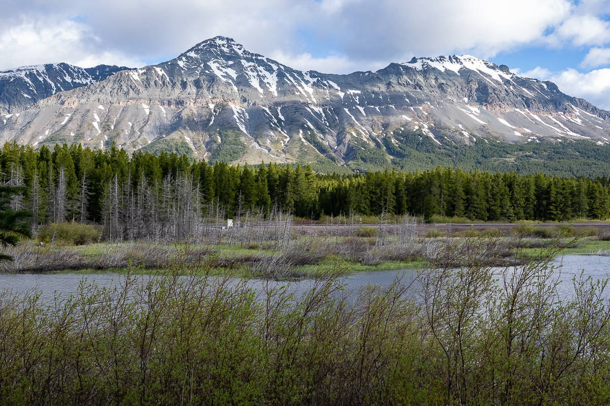 DSC_3653.jpg