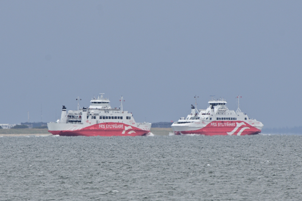 DSC_3681.JPG