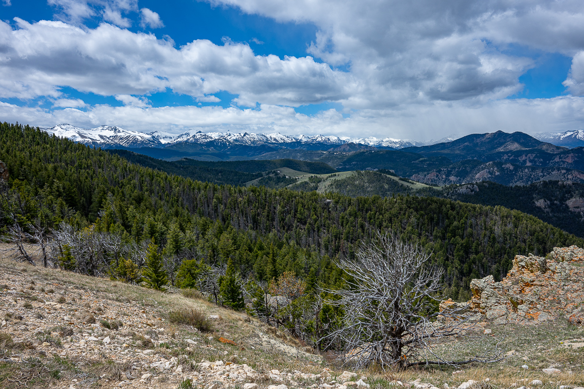 DSC_3695.jpg