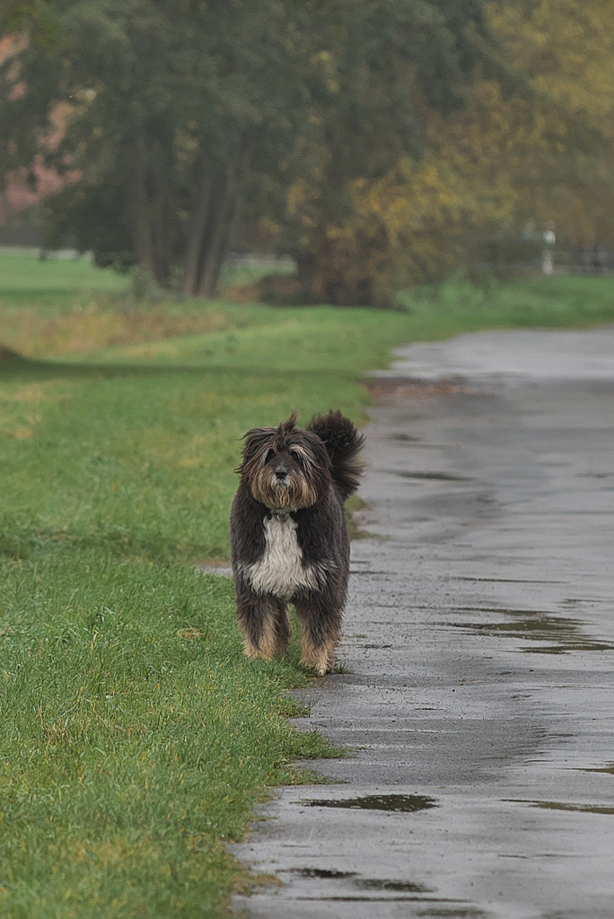 DSC_3717.jpg