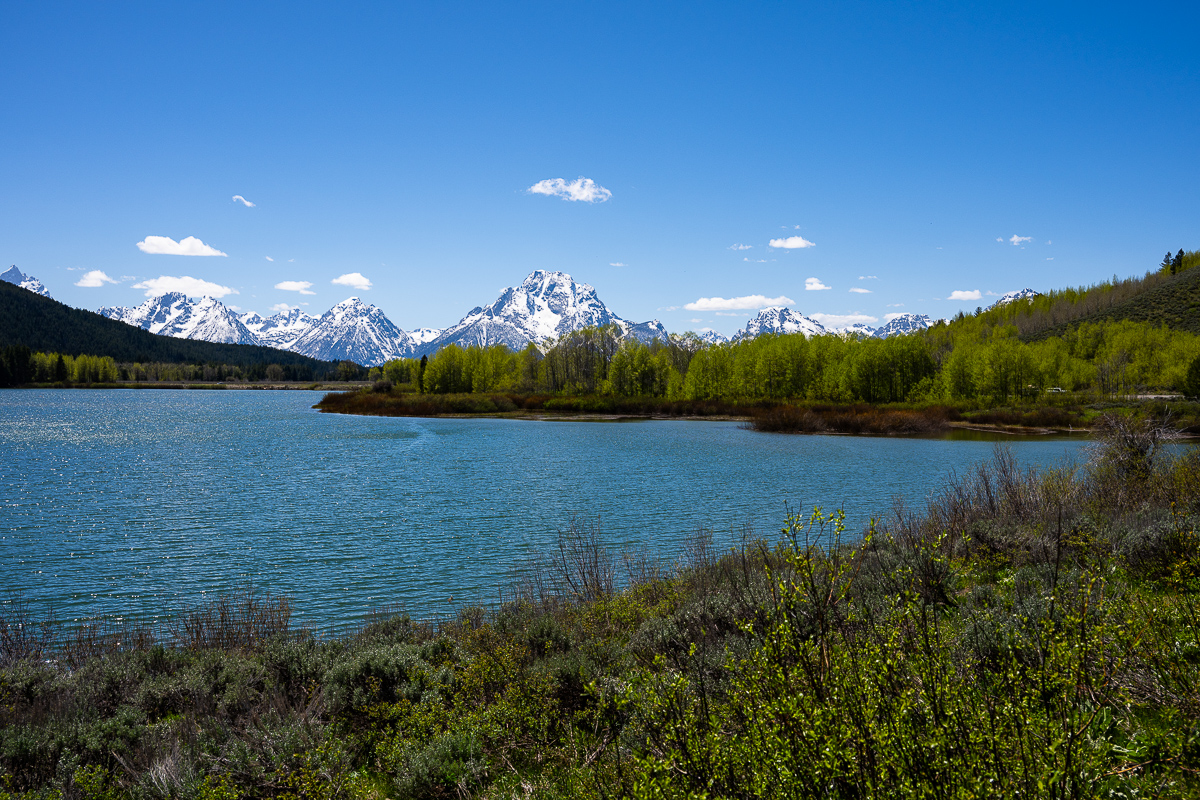 DSC_3757.jpg