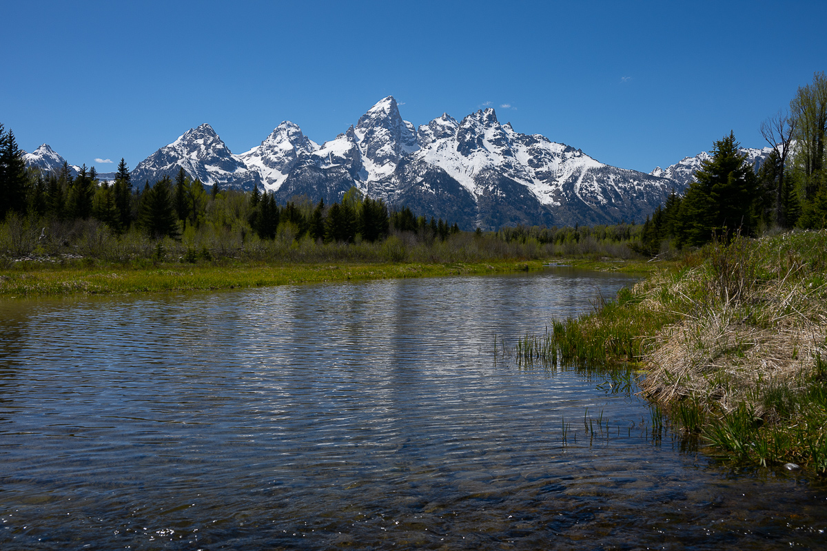 DSC_3764.jpg