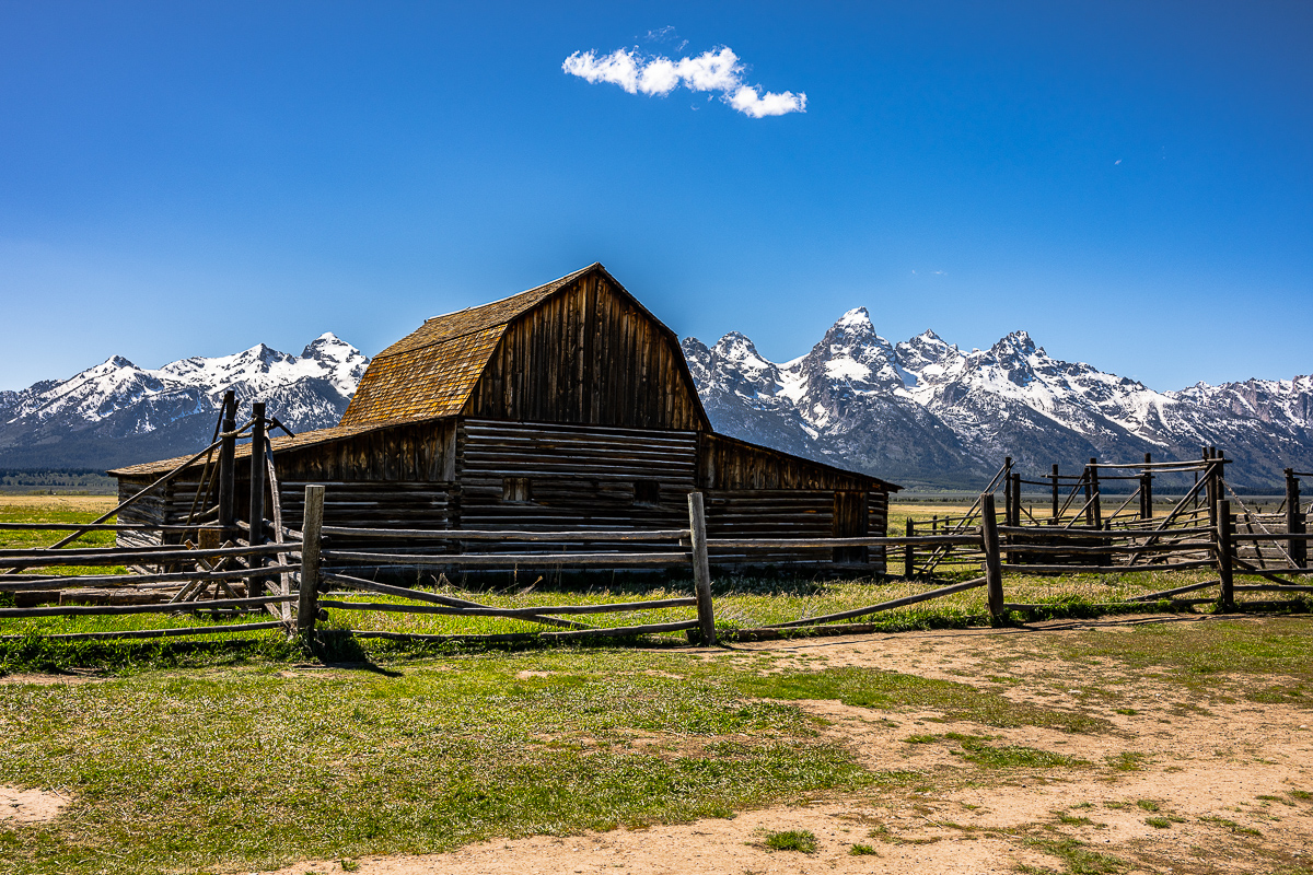 DSC_3772.jpg