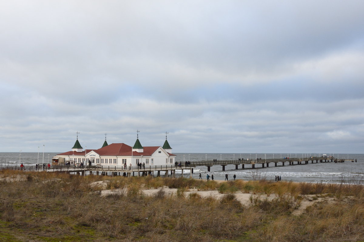 DSC_3775.JPG
