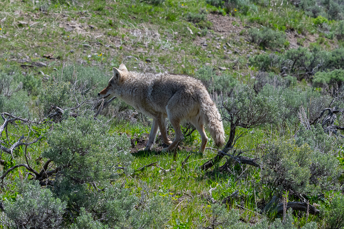 DSC_3819.jpg