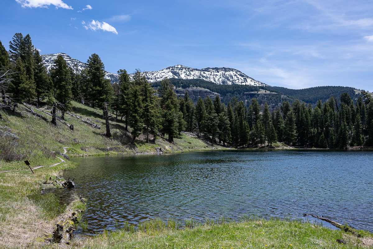 DSC_3827.jpg