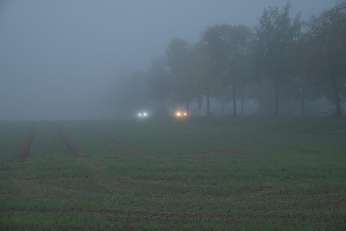 DSC_3827_NIKON Z 5_1200.jpg
